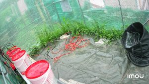 hydroponie dutch bucket